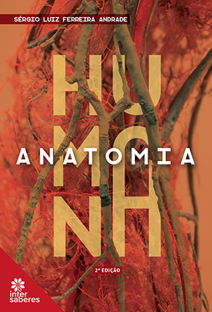 Anatomia humana